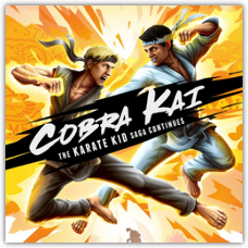 Cobra Kai: The Karate Kid Saga Continues